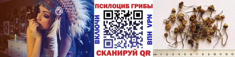 гидра зеркало  Камбарка  Галлюциногенные грибы MAGIC MUSHROOMS 
